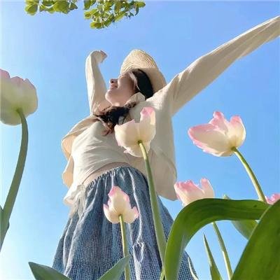 扶桑花女孩 海报